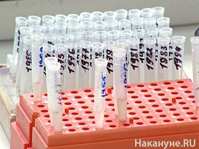 В Свердловской области обнаружен африканский штамм коронавируса