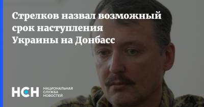 Стрелков назвал возможный срок наступления Украины на Донбасс