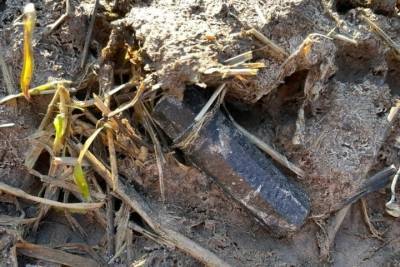 Под Ржевом Тверской области поисковик нашел на поверхности земли солдатский медальон