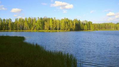 Новая зона для прогулок появится в Ленинградской области у Тохколодского озера