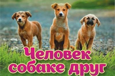 17 апреля в Рязани пройдет выставка беспородных собак