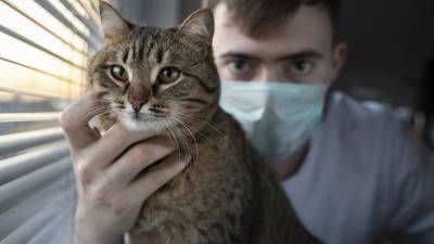 В РФ пока не зарегистрированы случаи передачи коронавируса от животных к человеку