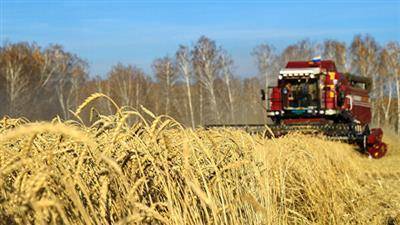 Экспортеры пшеницы из РФ резко снизили цену в апреле, видя риск в прогнозе пошлины - союз