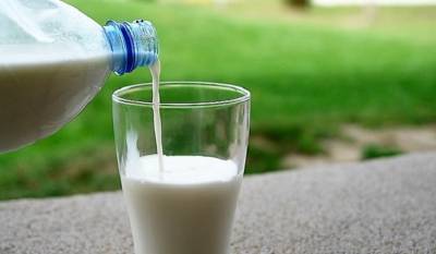 Эксперт раскрыла всю правду о «магазинном молоке»
