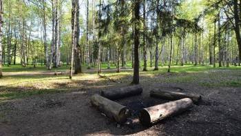 Прокуратура выявила многочисленные нарушения при содержании парка Мира в Вологде