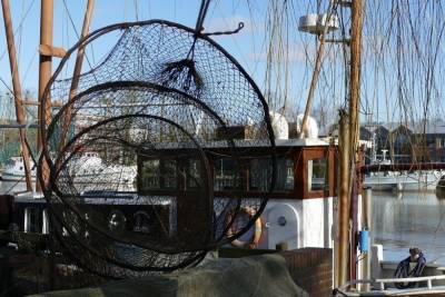 Сенаторы в США призвали устранить дисбаланс в торговле рыбой с Россией