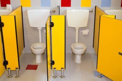 В правительстве планируют решить проблему с туалетами в школах