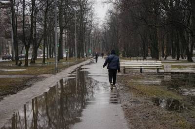 В Ленобласти в среду ожидается снег с дождем