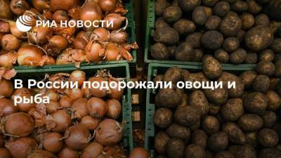 В России подорожали овощи и рыба