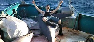 Рыбаки сфотографировались с акулами-людоедами и лишились денег