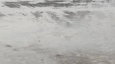 Сотрудники МЧС спасли провалившегося под лед на самокате подростка в Екатеринбурге