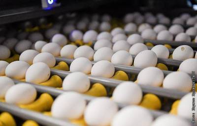 Курятина и яйца стали лидерами по темпам роста цен на продукты в марте