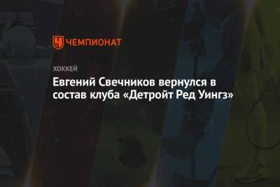 Евгений Свечников вернулся в состав клуба «Детройт Ред Уингз»