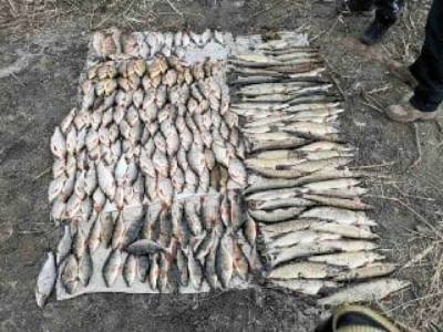 Более миллиона гривен убытков и почти 1,5 тонны рыбы - итоги марта на Черкасщине