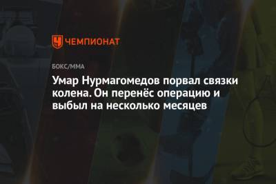 Хабиб Нурмагомедов - Умар Нурмагомедов - Ризван Магомедов - Шон Омэлли - Умар Нурмагомедов порвал связки колена. Он перенёс операцию и выбыл на несколько месяцев - championat.com