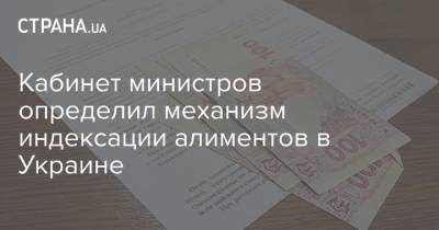Кабинет министров определил механизм индексации алиментов в Украине
