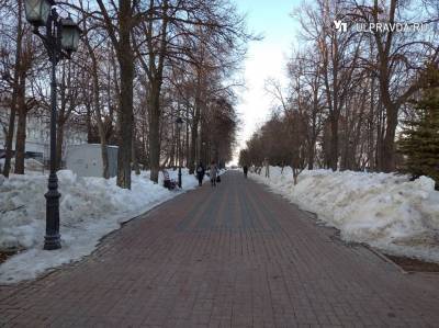 Потеплеет до +12. Погода в Ульяновской области 7 апреля