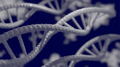 Британские ученые открыли метод сбора ДНК из воздуха