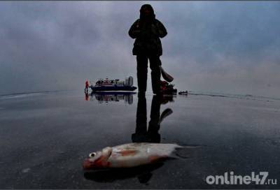 За зиму с акватории Невы спасли более 160 человек