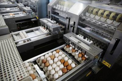 ФАС проверит цены на курицу, яйца и овощи
