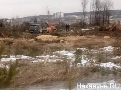 В Екатеринбурге на месте стройки логопарка продолжились вырубки. Жители вызвали полицию