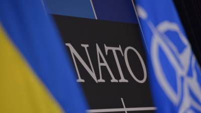 США призвали Украину провести глубокие реформы, чтобы стать членом НАТО