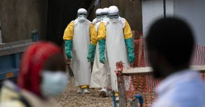 В Гвинее бьют тревогу из-за эпидемии лихорадки Эбола - dsnews.ua - Конго - Гвинея