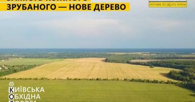 "Большая стройка" сохранит общий баланс зеленых насаждений при возведении Киевской обходной