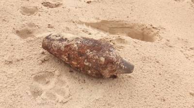 Минометную мину нашли в песчаном карьере в Столинском районе