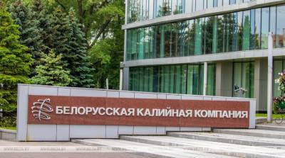 "Белэксимгарант" застрахует экспортные риски Белорусской калийной компании