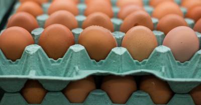 В России проверят обоснованность повышения цен на яйца и овощи
