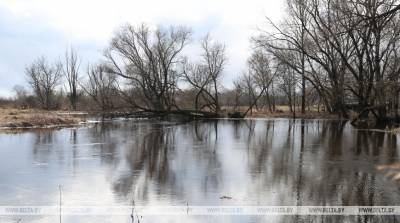 Уровень воды в реке Проня превысил опасную отметку