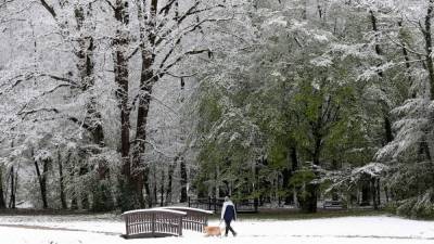 Зимняя метель в апреле: страны Европы страдают от снега – видео