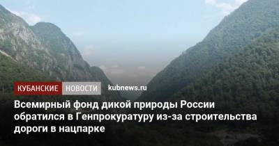 Всемирный фонд дикой природы России обратился в Генпрокуратуру из-за строительства дороги в нацпарке