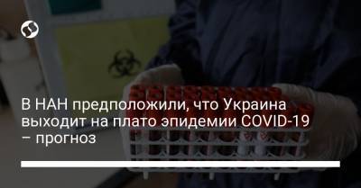 В НАН предположили, что Украина выходит на плато эпидемии COVID-19 – прогноз