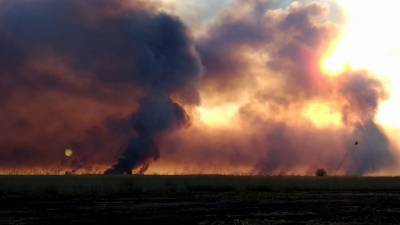 Обмеление Каспия привело к увеличению природных пожаров в Астраханской области