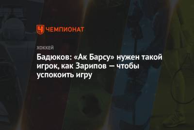 Бадюков: «Ак Барсу» нужен такой игрок, как Зарипов — чтобы успокоить игру