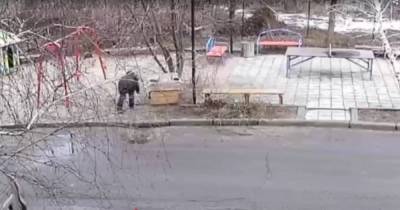 Умирают в страшных муках: появилось видео, как женщина травит бездомных собак в Славянске (видео)