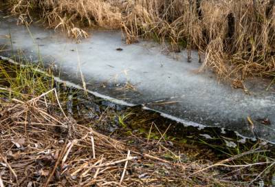 В Пикалево насмерть замерз мужчина – труп нашли в канаве