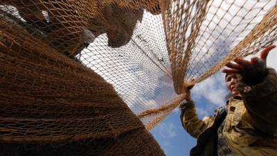 Трутнев: Россия сможет к 2023 году перерабатывать все выловленную в стране рыбу