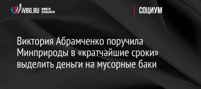 Виктория Абрамченко поручила Минприроды в «кратчайшие сроки» выделить деньги на мусорные баки