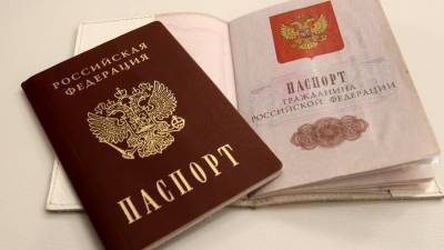 В ГД оценили сообщения о возможных изменениях в паспортах россиян