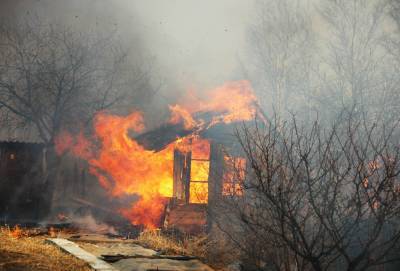 В Ивановской области задержали подозреваемых в поджогах садовых домиков