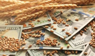 В Україні зменшилися ціни на більшість зернових та олійних культур