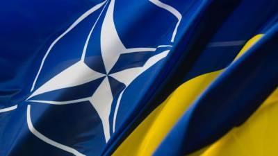 В Германии отреагировали на желание Украины вступить в НАТО
