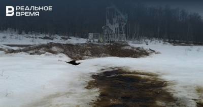 В Альметьевском районе последствия разлива нефти ликвидируют в ближайшие дни