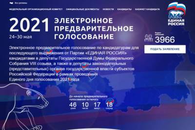 Продолжается прием заявок на предварительное голосование Единой России