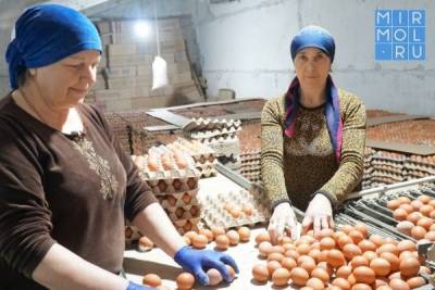 В Дагестане птицефабрика приобрела итальянская оборудование для увеличения объемов производства