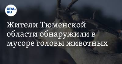 Жители Тюменской области обнаружили в мусоре головы животных