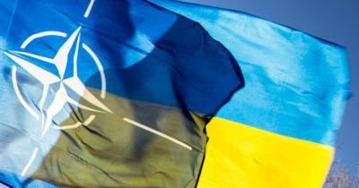 НАТО запустило версию сайта на украинском языке (фото) - focus.ua